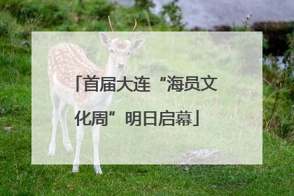 首届大连“海员文化周”明日启幕