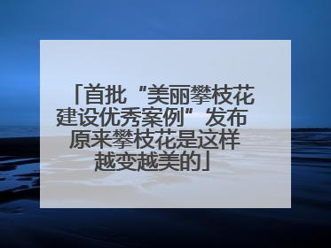 首批“美丽攀枝花建设优秀案例”发布 原来攀枝花是这样越变越美的