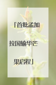 首批孟加拉国输华芒果启程