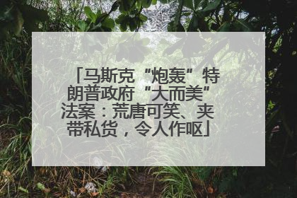 马斯克“炮轰”特朗普政府“大而美”法案：荒唐可笑、夹带私货，令人作呕