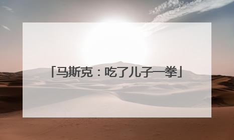 马斯克：吃了儿子一拳