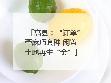 高县：“订单”苎麻巧套种 闲置土地再生“金”