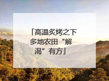 高温炙烤之下 多地农田“解渴”有方