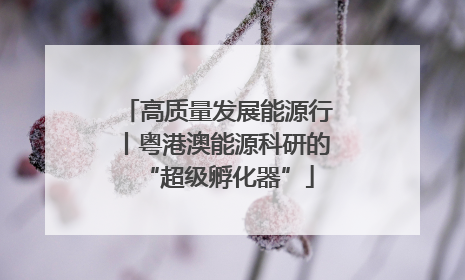 高质量发展能源行丨粤港澳能源科研的“超级孵化器”