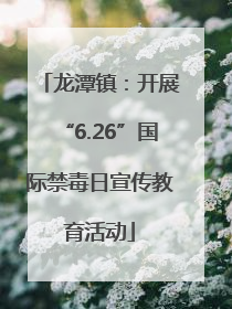 龙潭镇：开展“6.26”国际禁毒日宣传教育活动