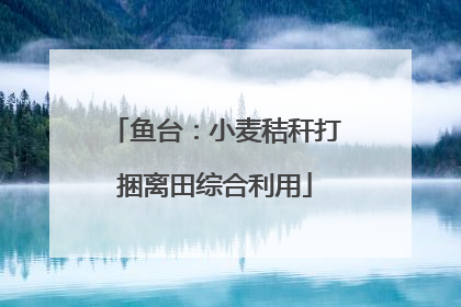 鱼台：小麦秸秆打捆离田综合利用