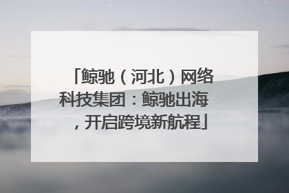 鲸驰（河北）网络科技集团：鲸驰出海，开启跨境新航程
