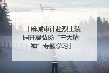 麻城审计赴烈士陵园开展弘扬“三大精神”专题学习