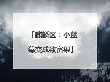 麒麟区：小蓝莓变成致富果