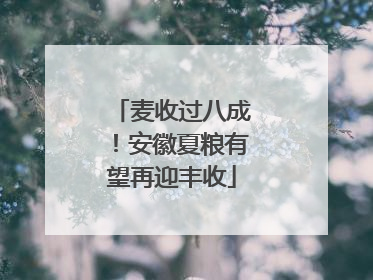 麦收过八成！安徽夏粮有望再迎丰收