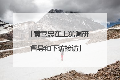 黄喜忠在上犹调研督导和下访接访