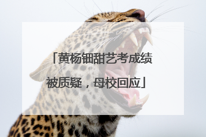 黄杨钿甜艺考成绩被质疑，母校回应