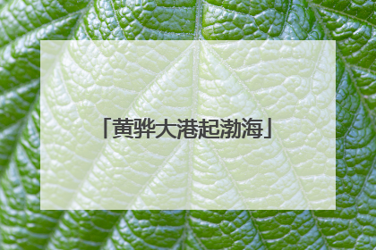 黄骅大港起渤海
