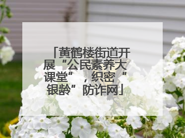 黄鹤楼街道开展“公民素养大课堂”，织密“银龄”防诈网