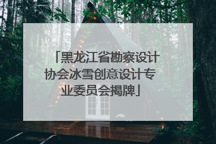 黑龙江省勘察设计协会冰雪创意设计专业委员会揭牌