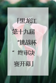 黑龙江第十九届“挑战杯”终审决赛开幕
