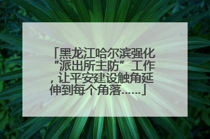 黑龙江哈尔滨强化“派出所主防”工作，让平安建设触角延伸到每个角落……