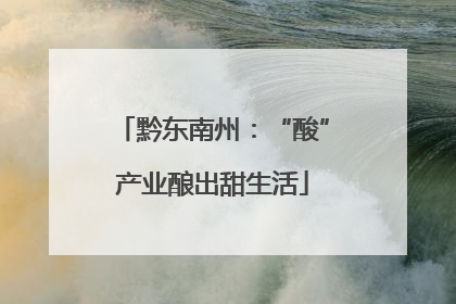 黔东南州：“酸”产业酿出甜生活