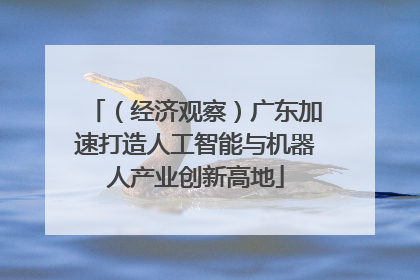 （经济观察）广东加速打造人工智能与机器人产业创新高地