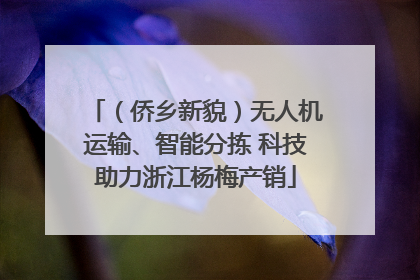 （侨乡新貌）无人机运输、智能分拣 科技助力浙江杨梅产销