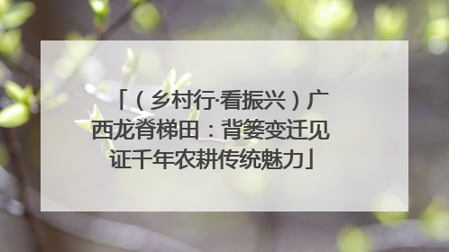 （乡村行·看振兴）广西龙脊梯田：背篓变迁见证千年农耕传统魅力