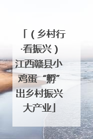 （乡村行·看振兴）江西赣县小鸡蛋“孵”出乡村振兴大产业