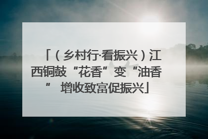 （乡村行·看振兴）江西铜鼓“花香”变“油香” 增收致富促振兴