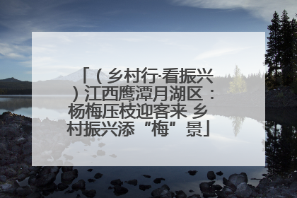 （乡村行·看振兴）江西鹰潭月湖区：杨梅压枝迎客来 乡村振兴添“梅”景