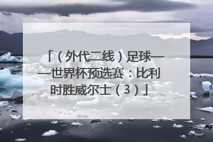 （外代二线）足球——世界杯预选赛：比利时胜威尔士（3）