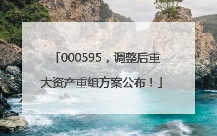 000595，调整后重大资产重组方案公布！