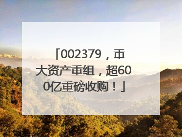 002379，重大资产重组，超600亿重磅收购！