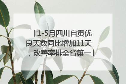 1-5月四川自贡优良天数同比增加11天，改善率排全省第一