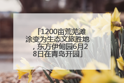 1200亩荒芜滩涂变为生态文旅胜地，东方伊甸园6月28日在青岛开园