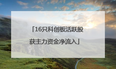 16只科创板活跃股获主力资金净流入