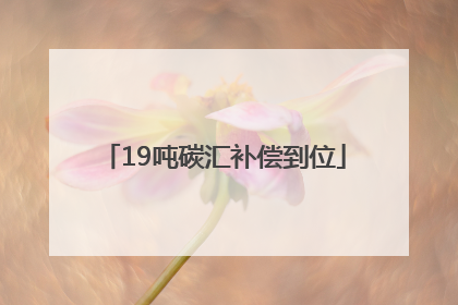 19吨碳汇补偿到位