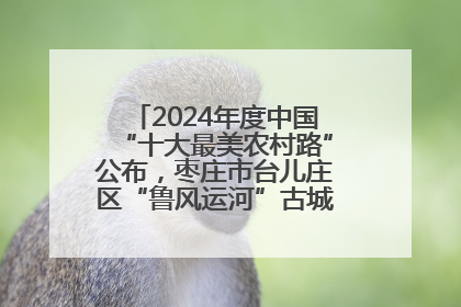 2024年度中国“十大最美农村路”公布，枣庄市台儿庄区“鲁风运河”古城文化廊道上榜！