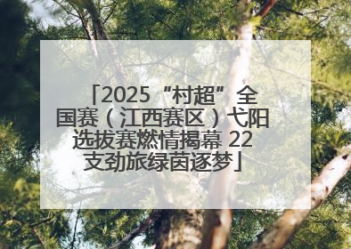 2025“村超”全国赛（江西赛区）弋阳选拔赛燃情揭幕 22支劲旅绿茵逐梦