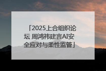 2025上合组织论坛 周鸿祎建言AI安全应对与柔性监管