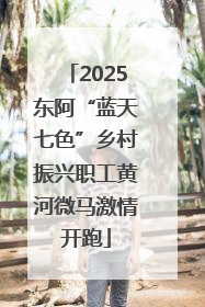 2025东阿“蓝天七色”乡村振兴职工黄河微马激情开跑