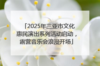 2025年三亚市文化惠民演出系列活动启动，露营音乐会浪漫开场