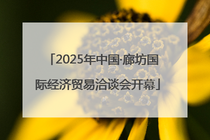 2025年中国·廊坊国际经济贸易洽谈会开幕