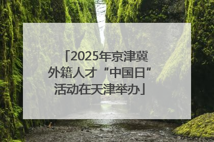 2025年京津冀外籍人才“中国日”活动在天津举办