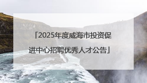 2025年度威海市投资促进中心招聘优秀人才公告