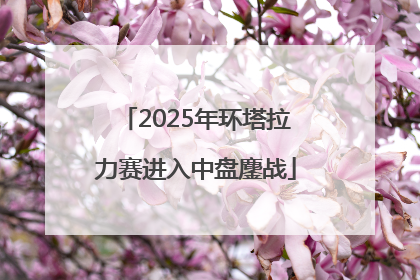 2025年环塔拉力赛进入中盘鏖战