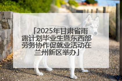 2025年甘肃省雨露计划毕业生暨东西部劳务协作促就业活动在兰州新区举办