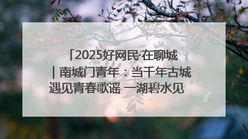 2025好网民·在聊城｜南城门青年：当千年古城遇见青春歌谣 一湖碧水见证的“聊城式浪漫”