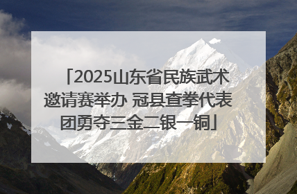 2025山东省民族武术邀请赛举办 冠县查拳代表团勇夺三金二银一铜