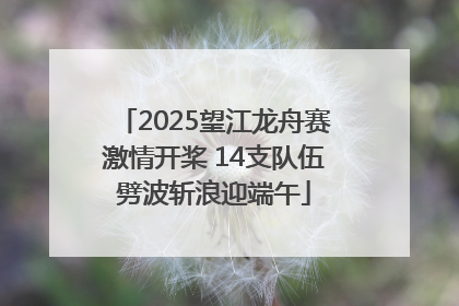2025望江龙舟赛激情开桨 14支队伍劈波斩浪迎端午