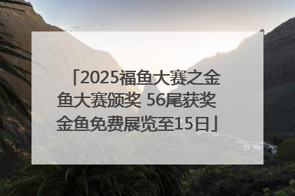 2025福鱼大赛之金鱼大赛颁奖 56尾获奖金鱼免费展览至15日