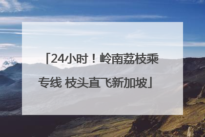 24小时！岭南荔枝乘专线 枝头直飞新加坡
